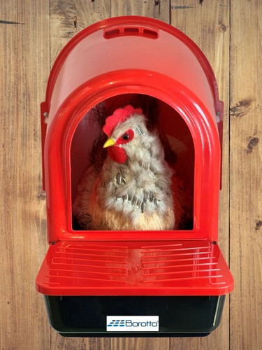 Nido per galline ovaiole - nido,