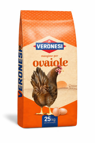 Mangime veronesi galline - mangime,