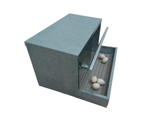 Nido cova galline - x, 2