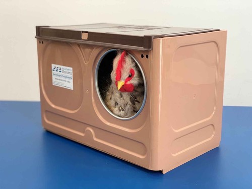Nido universale per galline - universale,