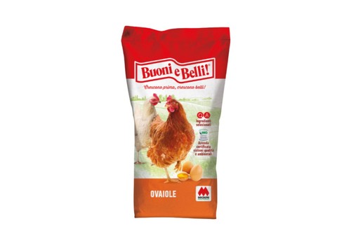 Mangime mangimi per gallina - mangimi,