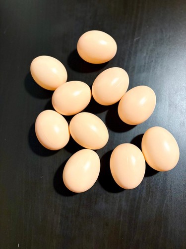 Uova finte per galline - 10,