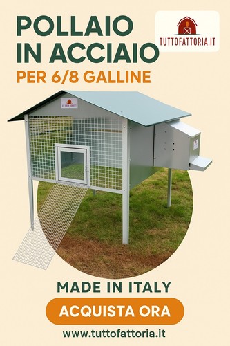 Pollaio per galline - pollaio,