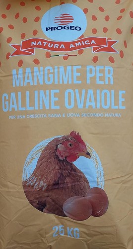 Progeo mangimi ovaiole - mangimi,